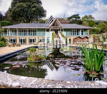 Besucherattraktion - Großbritanniens heißester Garten, der Ventnor Botanic Garden auf der Isle of Wight, Großbritannien. Stockfoto