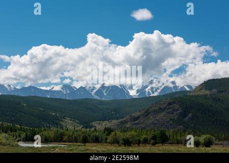 Sommerlandschaft im Altai-Gebirge - blühende Wiesen und Felder Vor einem Hintergrund von Bergen Stockfoto