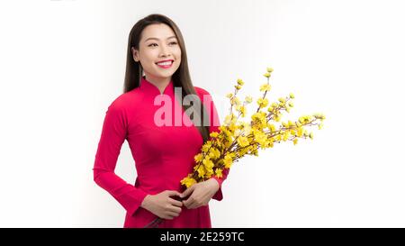 Junge asiatische Schönheit Frau trägt AO dai und hält Ochna Integerrima Zweig mit der Blüte im Mondneujahr auf isoliert Weißer Hintergrund Stockfoto