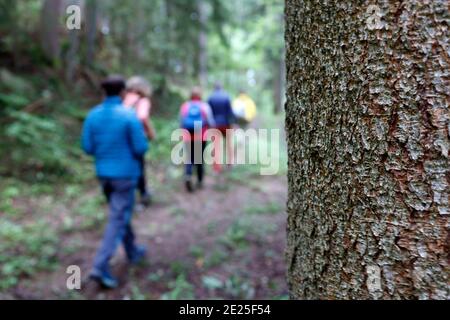 Naturtherapie. Qi Gong und Waldbaden, auch bekannt als Shinrin-Yoku. Frankreich. Stockfoto