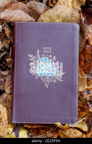 Heilige bibel auf trocken gefallenen Herbstblättern. Glaube und Spiritualität. Frankreich. Stockfoto