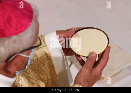 Katholische Kirche während covid-19 Epidemie. Sonntagsmesse. Eucharistiefeier. Mgr. Yves Boivineau. Heiligtum von La Benite Fontaine. Frankreich. Stockfoto