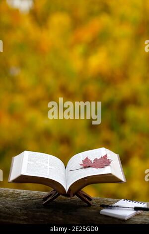 Öffnen sie die bibel auf einer Bank mit trockenem Herbstblatt. Glaube und Spiritualität. Frankreich. Stockfoto