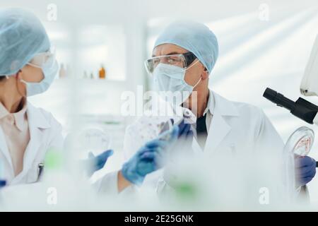 Nahaufnahme. Wissenschaftler diskutieren die Ergebnisse ihrer Forschung. Stockfoto