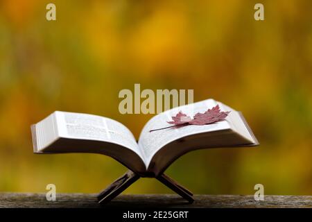 Öffnen sie die bibel auf einer Bank mit trockenem Herbstblatt. Glaube und Spiritualität. Frankreich. Stockfoto