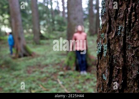 Naturtherapie. Qi Gong und Waldbaden, auch bekannt als Shinrin-Yoku. Frankreich. Stockfoto