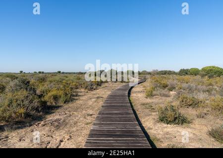 Friedliche Donana Nationalpark Landschaft in Andalusien mit einem langen Holzsteg unter blauem Himmel Stockfoto