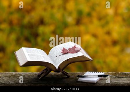 Öffnen sie die bibel auf einer Bank mit trockenem Herbstblatt. Glaube und Spiritualität. Frankreich. Stockfoto