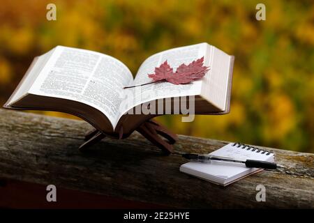 Öffnen sie die bibel auf einer Bank mit trockenem Herbstblatt. Glaube und Spiritualität. Frankreich. Stockfoto