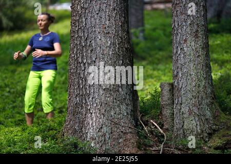 Naturtherapie. Qi Gong und Waldbaden, auch bekannt als Shinrin-Yoku. Frankreich. Stockfoto