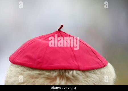 Katholische Kirche während covid-19 Epidemie. Feier der Messe. Bischof. Heiligtum von La Benite Fontaine. Frankreich. Stockfoto