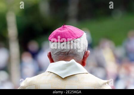 Katholische Kirche während covid-19 Epidemie. Feier der Messe. Bischof. Heiligtum von La Benite Fontaine. Frankreich. Stockfoto