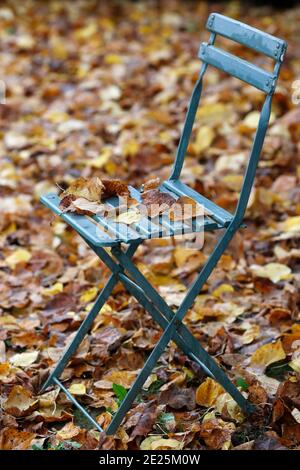 Ein Gartenstuhl mit gefallenen Blättern im Herbst übersät. Frankreich. Stockfoto
