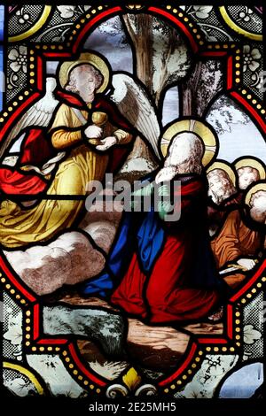 Cordeliers Kirche. Buntglasfenster. Jesus betet im Garten Gethsemane nach dem Letzten Abendmahl, während die Jünger schlafen. Lons le Saunier Stockfoto
