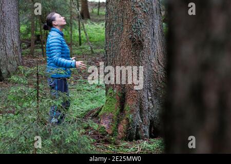 Naturtherapie. Qi Gong und Waldbaden, auch bekannt als Shinrin-Yoku. Frankreich. Stockfoto