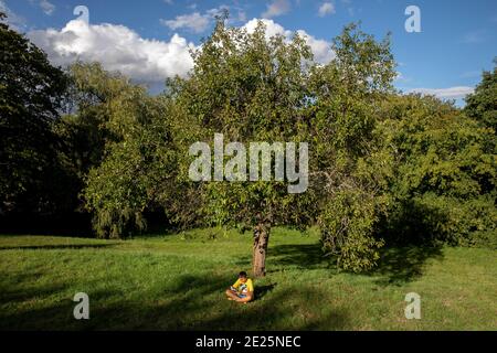 Junge liest unter einem Baum in Eure, Frankreich Stockfoto