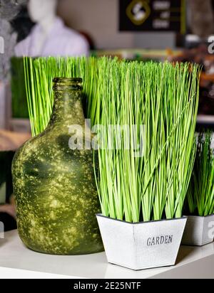 Frühling Stillleben, grün hohes Gras in quadratischen weißen Töpfen vor dem Hintergrund einer alten grünen Flasche in Unschärfe. Stockfoto