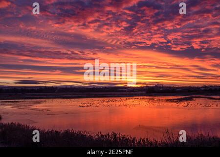 Sunrise North Cave Wetlands Stockfoto