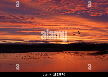 Sunrise North Cave Wetlands Stockfoto