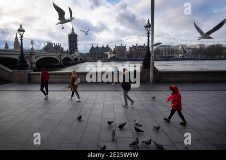 Eine kleine Gruppe von Touristen füttert Tauben auf der South Bank in der Nähe der Westminster Bridge im Zentrum von London, während Englands dritter nationaler Lockdown, um die Ausbreitung des Coronavirus einzudämmen weiter. Stockfoto