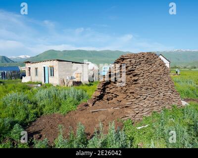 Als Kraftstoff verwendeter Mist. Ein typischer Bauernhof in der Suusamyr Ebene, einem Hochtal in den Tien Shan Bergen. Asien, Zentralasien, Kirgisistan Stockfoto