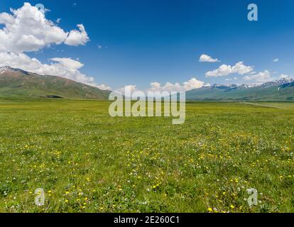 Die Suusamyr Ebene, ein Hochtal in den Tien Shan Bergen. Asien, Zentralasien, Kirgisistan Stockfoto