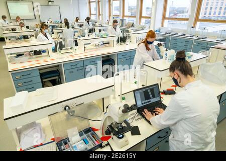 Techniker, die im Labor mit Masken arbeiten Stockfoto