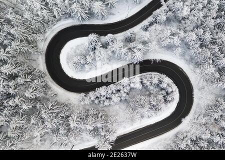 Gebogene S-förmige Straße im Winterwald Luftbild. Leere kurvenreiche Straße, umgeben von hohen Pinien. Stockfoto