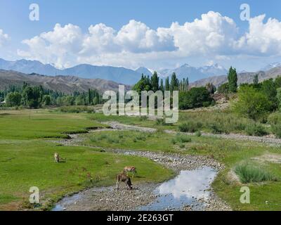 Landschaft in der Nähe des Issyk-Kul-Sees. Tien Shan Berge oder himmlische Berge in Kirgisien. Asien, Zentralasien, Kirgisistan Stockfoto