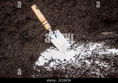 Gärtner mischen dolomitischen Kalkstein Pulver in Gartenboden, um den pH-Wert ändern Ameise, um mehr Nährstoffe für Pflanzen Konzept liefern. Stockfoto