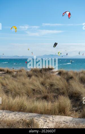 Viele Kitesurfer mit ihren Drachenschirmen in der Luft Am Strand von Tarifa Stockfoto