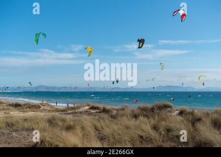 Viele Kitesurfer mit ihren Drachenschirmen in der Luft Am Strand von Tarifa Stockfoto