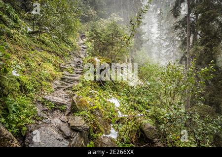 Felsenweg / Pfad steigt durch Nadelwald auf steilen Berghang im Nebel im Herbst, Nationalpark hohe Tauern, Kärnten, Österreich Stockfoto