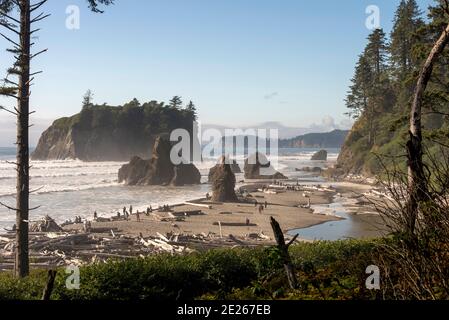 FORKS, Washington, USA - 3. September 2019: Touristen besuchen Ruby Beach im Olympic National Park. Stockfoto