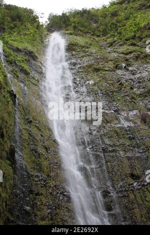 Die Spitze der Waimoku Falls, die auf dem Pipiwai Trail im Haleakala National Park, Maui, Haw, durch eine vulkanische Felsklippe mit Moos und Pflanzen bedeckt sind Stockfoto