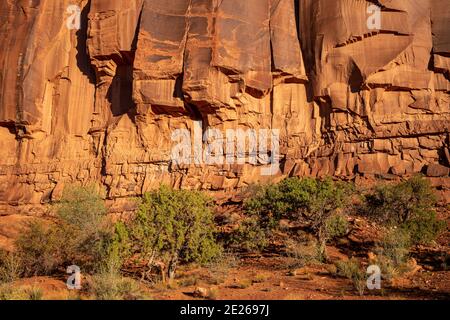 Rote Sandsteinfelsen in der Gegend von Rain God Mesa und Thunderbird Mesa im Monument Valley Navajo Tribal Park, Arizona und Utah, USA Stockfoto