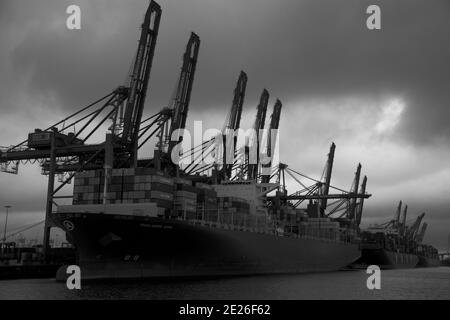 Eindrück aus dem Hamburger Containerhafen Stockfoto