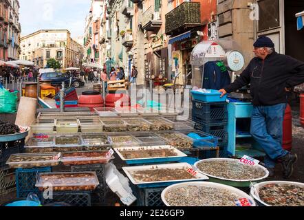 NEAPEL, ITALIEN - 15. DEZEMBER 2019: Straßenmarkt. Älterer Mann, der Meeresfrüchte verkauft - verschiedene frische Venusmuscheln, Krebstiere usw. Stockfoto