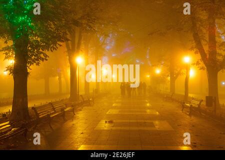 Menschen, die in der Parkallee im Stadtzentrum von Odessa im dichten Nebel spazieren. Odessa, Ukraine Stockfoto