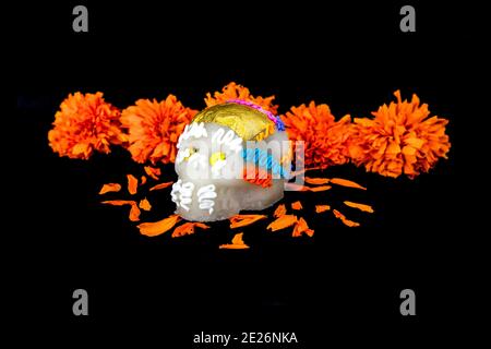 Zuckerschädel und cempasuchil Blumen (für den Tag der Toten, Mexiko) Stockfoto