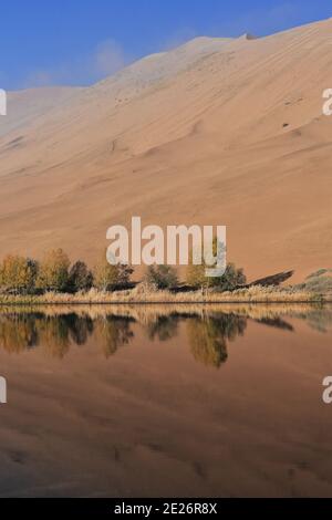 Sumu Jaran Lake westlichen Megadune-Spiegelung Wasser-Badain Jaran Wüste. Innere Mongolei-China-1203 Stockfoto