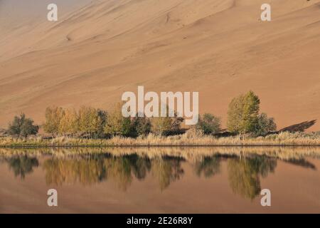 Sumu Jaran Lake westlichen Megadune-Spiegelung Wasser-Badain Jaran Wüste. Innere Mongolei-China-1204 Stockfoto