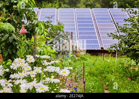 Solar-Panel erzeugt grüne, umweltfreundliche Energie aus der Sonne. Stockfoto