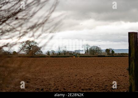 Ein Traktor pflügt ein Feld in der Somerset Landschaft Stockfoto