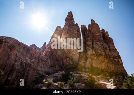 Felsnadeln im Needles District in der Nähe des Chesler Park Trail, Canyonlands National Park, Utah, USA. Stockfoto