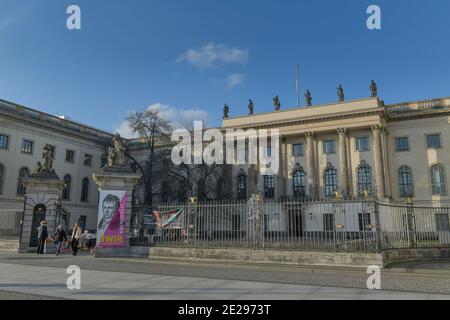 Hauptgebäude, Humboldt-Universität, Unter den Linden, Mitte, Berlin, Deutschland Stockfoto