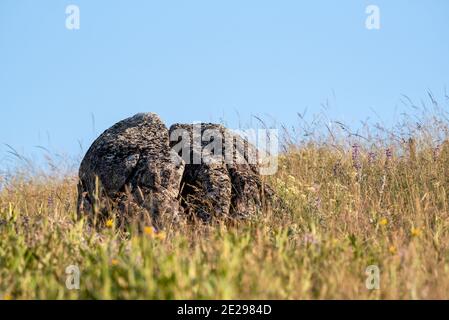 Gletscherratik auf der Wallowa Lake Moraine, Oregon. Stockfoto