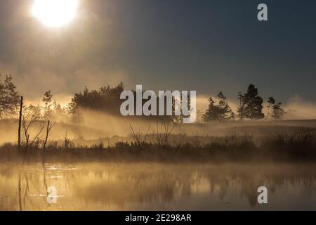 Ein nebliger Morgenaufgang im Norden von Wisconsin. Stockfoto