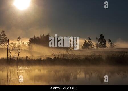 Ein nebliger Morgenaufgang im Norden von Wisconsin. Stockfoto