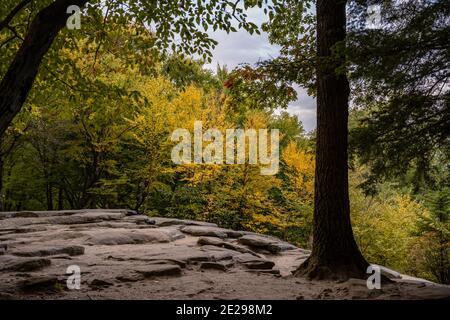 Herbstfarben bei Overlook on the Ledges Trail in Cuyahoga Valley National Park Stockfoto
